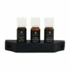 Emendo Emendo Set Sauna Geuren 3 X 10 Ml Inclusief Houten Rekje 1 Emendo Emendo Set Sauna Geuren 3 X 10 Ml Inclusief Houten Rekje -Zwembad Benodigdheden Verkoopwinkel emendo emendo set sauna geuren 3 x 10 ml inclusief
