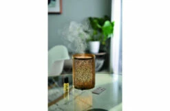 Esteban Esteban Mist Diffuser Light & Gold Edition 7 Esteban Esteban Mist Diffuser Light & Gold Edition -Zwembad Benodigdheden Verkoopwinkel esteban esteban mist diffuser light gold edition 2