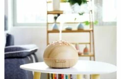 Zwembad Benodigdheden Verkoopwinkel -Zwembad Benodigdheden Verkoopwinkel gx diffuser gx 21k aroma diffuser 1