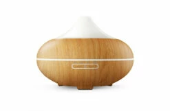 GX GX-20K Aroma Diffuser -Zwembad Benodigdheden Verkoopwinkel gx gx 20k aroma diffuser 1
