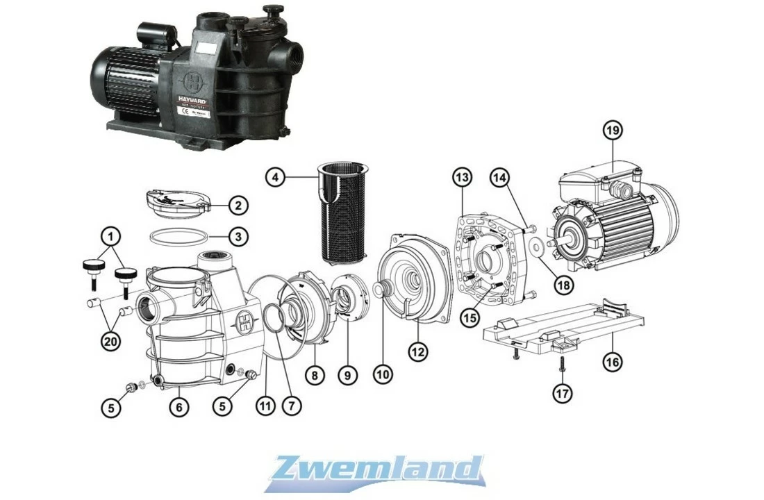 Hayward Hayward Max Flo Pomp Mechanische Sealset SPX1600Z2 4 Hayward Hayward Max Flo Pomp Mechanische Sealset SPX1600Z2 - Afbeelding 3