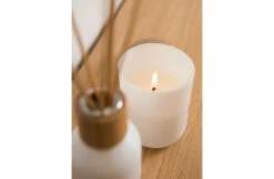 Rento Geurkaars Berken - 2+1 Gratis 12 Rento Geurkaars Berken - 2+1 Gratis -Zwembad Benodigdheden Verkoopwinkel rento geurkaars berken 21 gratis 2