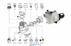 Starline Starline SL Zwembadpomp Motor Sealset -Zwembad Benodigdheden Verkoopwinkel starline starline sl zwembadpomp motor sealset 2